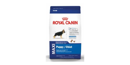 Royal Canin Maxi Chiot 18LB